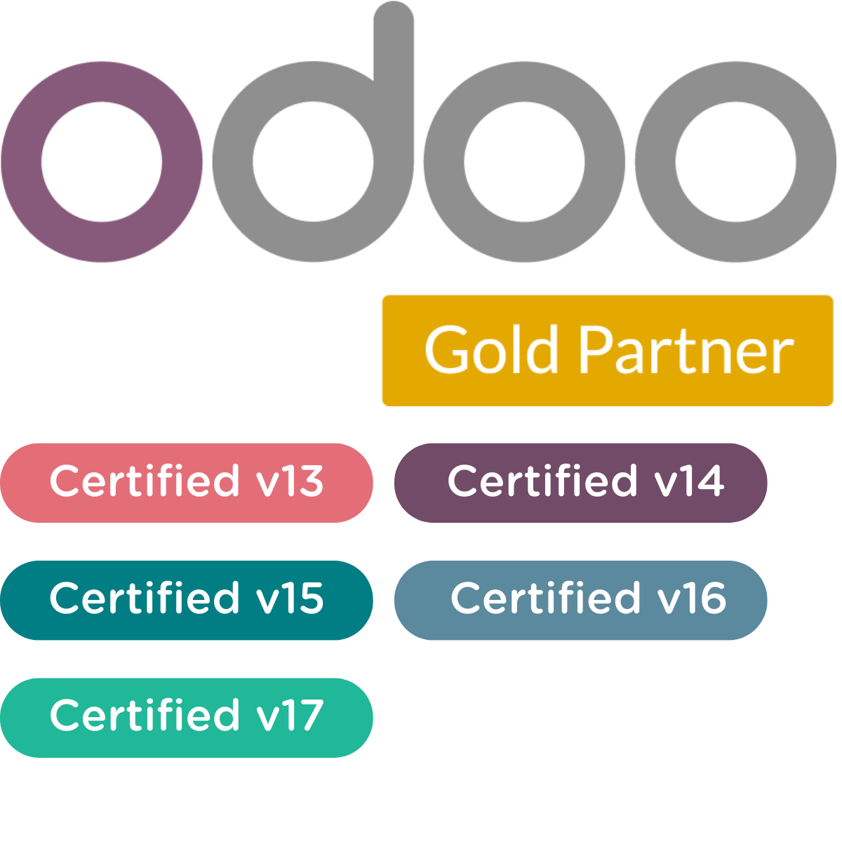 Odoo GOLD partner
